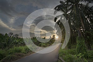 Beautiful scenic sunrise along the asphalt road