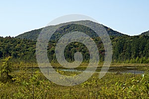 Beautiful scenic view of the adirondack mountains from boggy wetlands