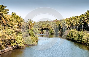 Beautiful Scenic view of backwaters of Kerala, from bridge above.