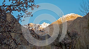 Beautiful scenic view of colorful in Nubra Valley, Leh district, Ladakh range, Jammu & Kashmir, Northern India