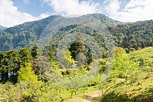 Beautiful scenic view from Dali Trail in Taroko National Park, Xiulin, Hualien, Taiwan