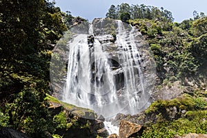 beautiful scenic view of green trees and waterfall, sri lanka,