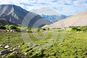 Beautiful scenic view from Between Hemis Shukpachan and Tingmosgang Temisgam in Sham Valley,