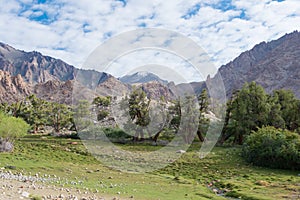 Beautiful scenic view from Between Hemis Shukpachan and Tingmosgang Temisgam in Sham Valley, Ladakh, Jammu and Kashmir, India