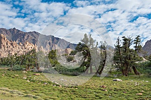 Beautiful scenic view from Between Hemis Shukpachan and Tingmosgang Temisgam in Sham Valley, Ladakh, Jammu and Kashmir, India