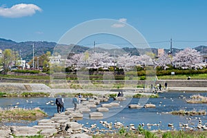 Beautiful scenic view from Kamo River Kamo-gawa in Kyoto, Japan. The riverbanks are popular walking