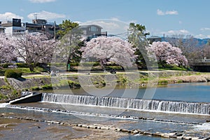 Beautiful scenic view from Kamo River Kamo-gawa in Kyoto, Japan. The riverbanks are popular walking