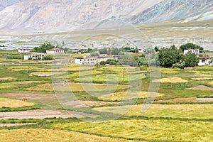 Beautiful scenic view from Between Karsha and Padum in Zanskar, Ladakh, Jammu and Kashmir, India