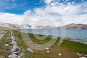 Beautiful scenic view from Maan Village near Pangong Lake in Ladakh, Jammu and Kashmir, India