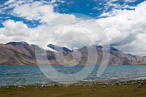 Beautiful scenic view from Maan Village near Pangong Lake in Ladakh, Jammu and Kashmir, India