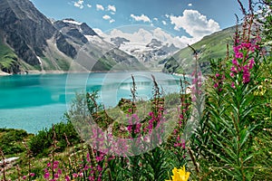 Beautiful scenic view of mountain lake and wild flower.Hike to the Mooserboden dam in Austrian Alps.Quiet relaxation outdoors.