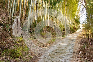 Beautiful scenic view from Between Nagiso Station and Tsumago-juku on Nakasendo in Nagiso, Nagano,