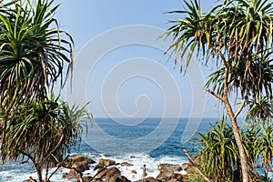 beautiful scenic view of palm trees om coastline and blue sky, sri lanka, mirissa