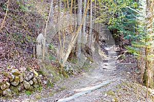 Beautiful scenic view from Between Tsumago-juku and Magome-juku on Nakasendo in Nagiso, Nagano,