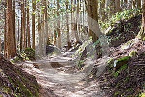 Beautiful scenic view from Between Tsumago-juku and Magome-juku on Nakasendo in Nagiso, Nagano,