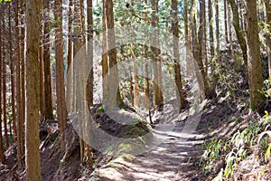 Beautiful scenic view from Between Tsumago-juku and Magome-juku on Nakasendo in Nagiso, Nagano,