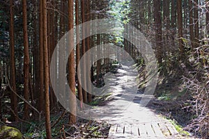 Beautiful scenic view from Between Tsumago-juku and Magome-juku on Nakasendo in Nagiso, Nagano,