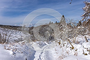 Beautiful scenic winter landscape featuring a snow-covered mountain with trees