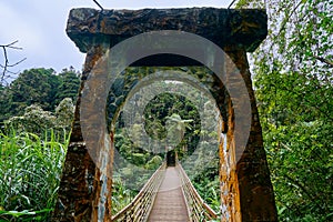 Beautiful scenics of Cuihong suspension bridge in Xitou Nature Education Area