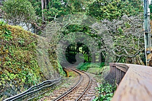 Beautiful scenics of railway through Alishan forest photo