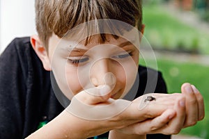 Beautiful school preteen kid boy holding small wild frog. Happy curious child watching and exploring animals in nature.