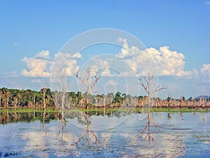 Beautiful screenery of Tonle sap lake, Cambodia