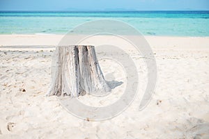 Beautiful sea and beach at bamboo island on Phi Phi don island, Krabi, Thailand. destination, summer Travel, vacation and holiday