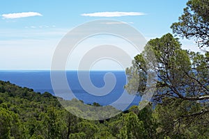 Beautiful sea coast with trees, clean blue water and cloudy sky. Ibiza island, Cala Roja, Spain