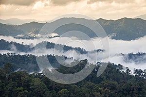 Beautiful sea fog at Kaeng Krachan National Park in Thailand