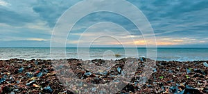 Beautiful sea landscape with seaweed beach and sky