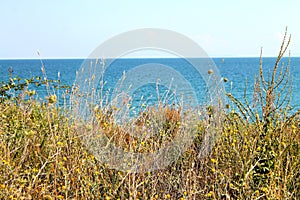 Beautiful sea and meadow landscape background