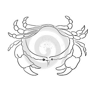 Beautiful Sea Print Crab line vector illustration