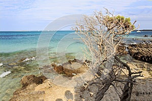 The beautiful sea of Sardinia