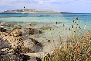 The beautiful sea of Sardinia