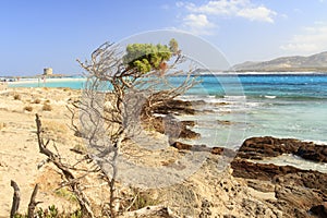 The beautiful sea of Sardinia