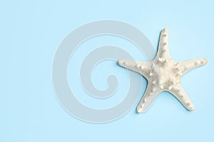 Beautiful sea star on light blue background, top view. Space for text