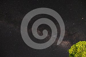 Beautiful sea star in night time sky