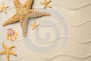 Beautiful sea stars and shell on sand, flat lay. Space for text