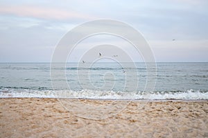 Beautiful sea summer abstract background. Golden sand beach with blue ocean and cloudscape and sunset in the back