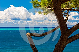 Beautiful sea in a summer day in Italy