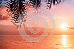 Beautiful sea sunset, morning ocean sunrise, tropical island beach, palm tree leaves silhouette, blue sky, orange clouds, sun dawn