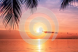 Beautiful sea sunset, morning ocean sunrise, tropical island beach, palm tree leaves silhouette, blue sky, orange clouds, sun dawn
