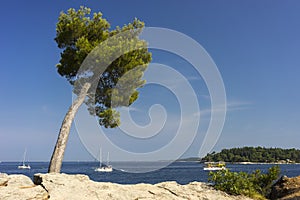 Beautiful sea view near a city Rovinj