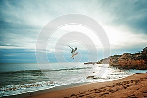 Beautiful seagull soars above the ocean and the beach at sunset, beautiful scenery, the sea and nature