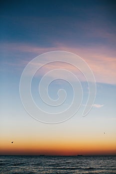 Beautiful seagulls flying in pink sky and sun rise above sea waves on tropical island. Waves in ocean at sunset light. Tranquil