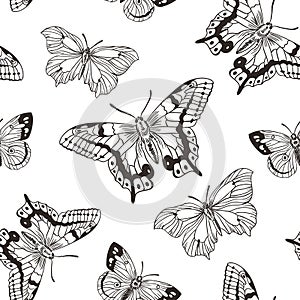 Beautiful seamless background of butterflies black and white colors. Vector illustration.