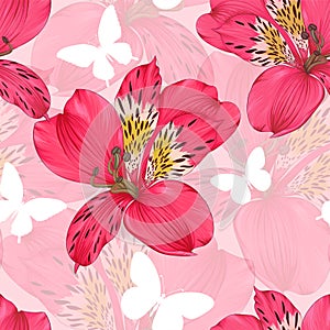 Beautiful seamless background with pink and red alstroemeria flower.