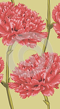 Beautiful seamless background with red carnation.