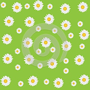 Beautiful seamless daisy background