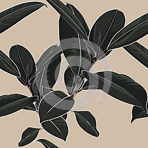 Beautiful seamless floral pattern background with dark tropical ficus elastica.